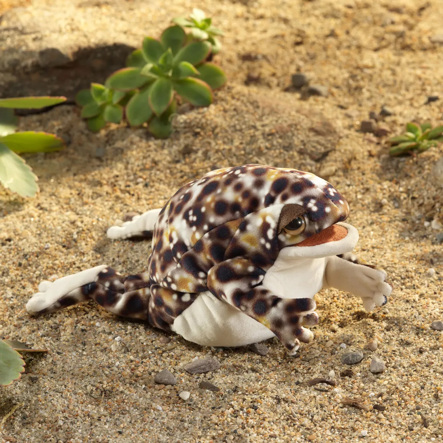 Folkmanis Desert Rain Frog Hand Puppet - Produktbild 4