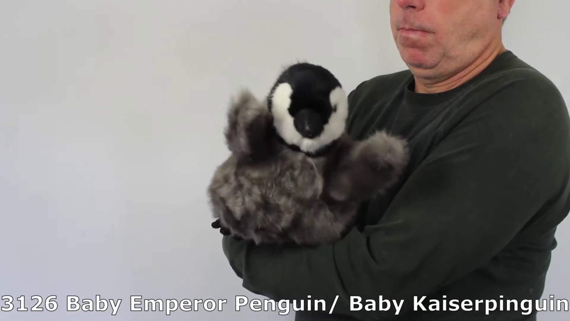 Folkmanis Baby Emperor Penguin Hand Puppet Demo