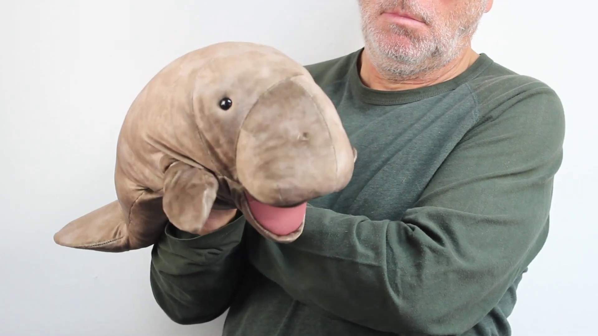 Folkmanis Manatee Hand Puppet Demo