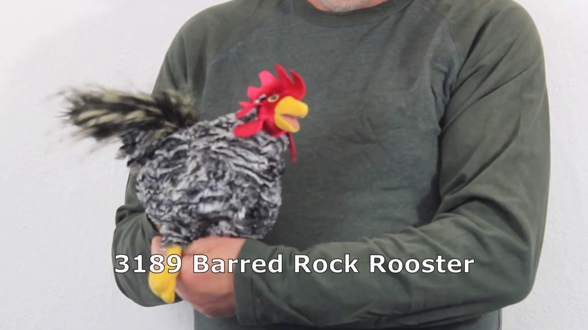 Folkmanis Barred Rock Rooster Hand Puppet Demo
