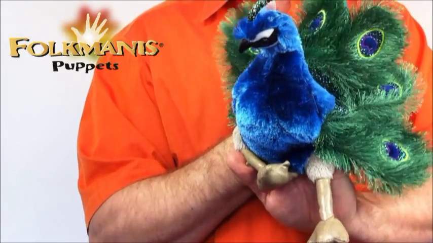 Folkmanis Small Peacock Hand Puppet Demo 2