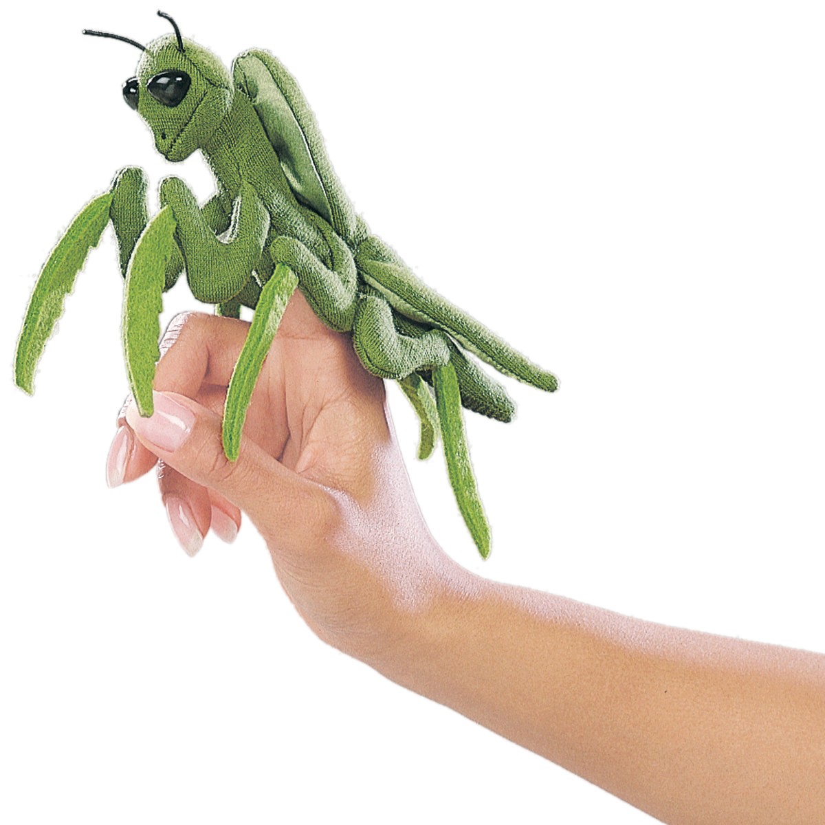 Folkmanis mini praying mantis finger puppet in green on a finger, with black eyes and typical prey-catching pose