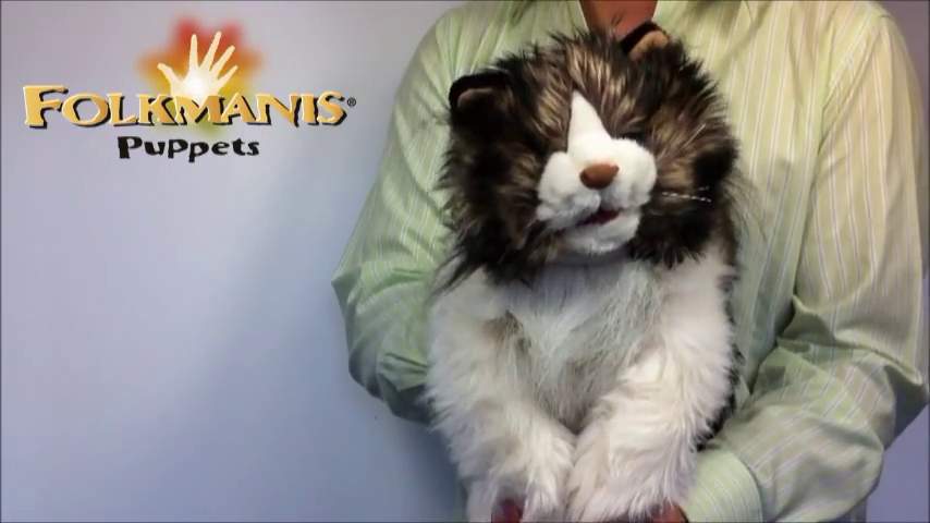 Folkmanis Ragdoll Cat Hand Puppet Demo 2