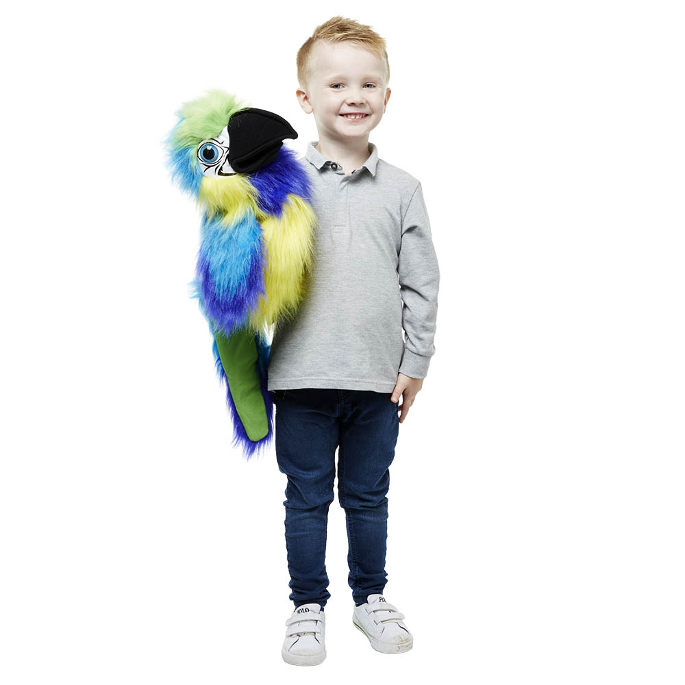 Boy holding the The Puppet Company blue and gold macaw hand puppet on his arm, usage example