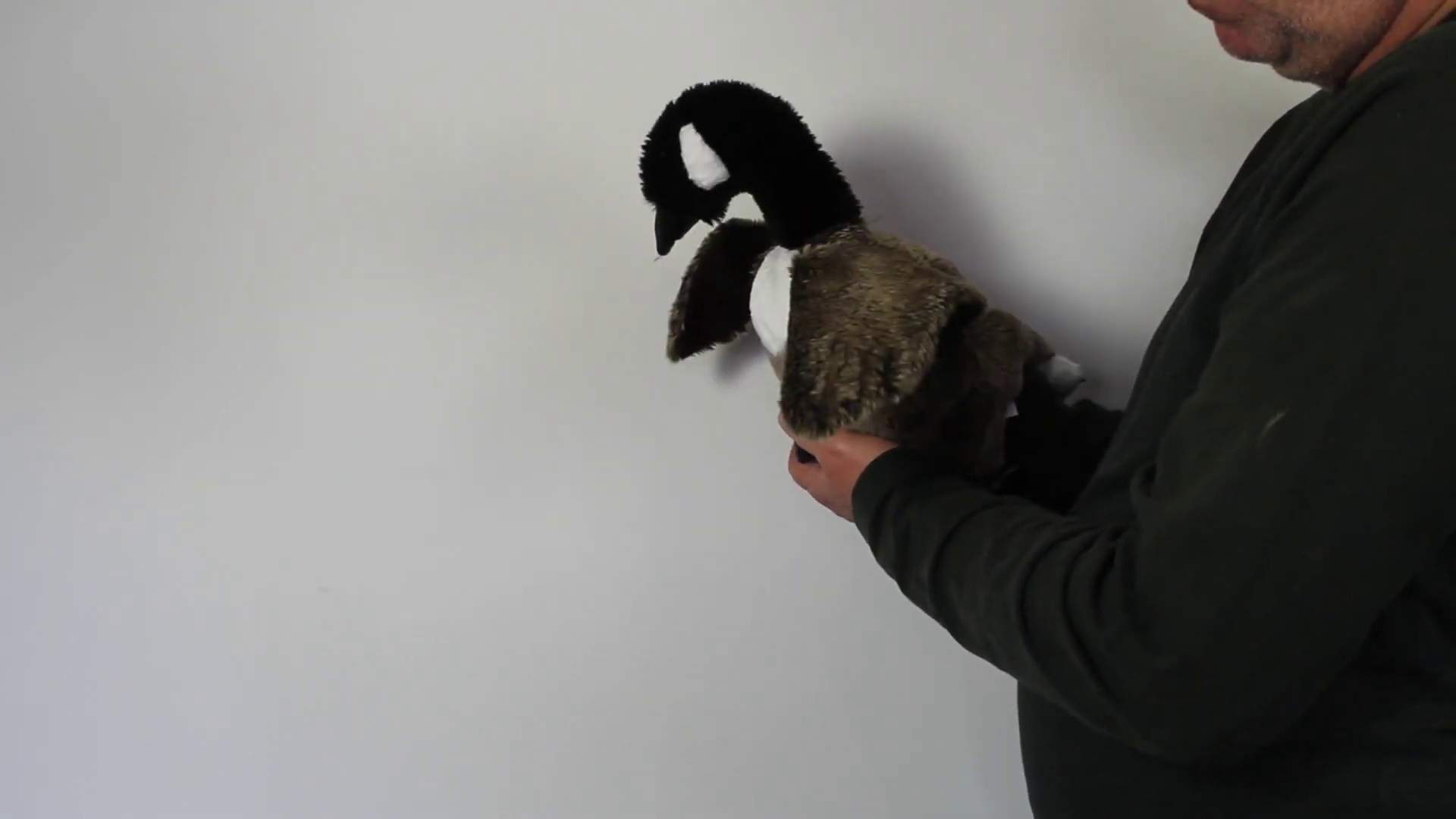 Folkmanis Canada Goose Hand Puppet Demo