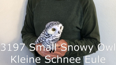 Folkmanis Small Snowy Owl Hand Puppet Demo 2