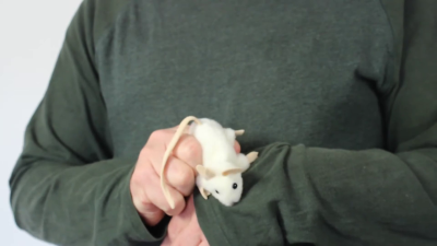Folkmanis Mini White Mouse Finger Puppet Demo