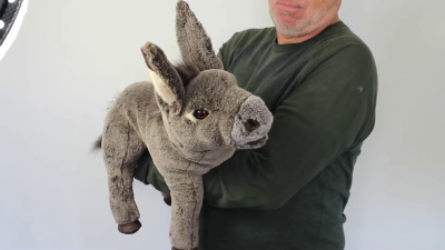 Folkmanis Baby Donkey Hand Puppet Demo