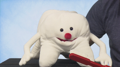 Living Puppets hand puppet molar tooth Demo 2