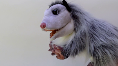 Folkmanis Opossum Hand Puppet Demo