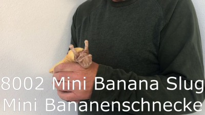 Folkmanis Mini Banana Slug Finger Puppet Demo 2