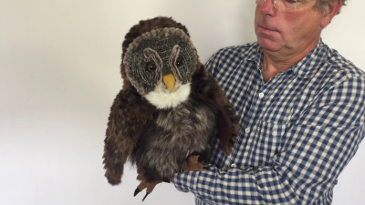 Folkmanis Hooting Owl Hand Puppet Demo