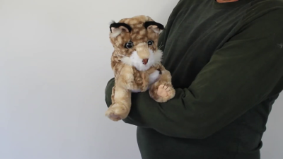 Folkmanis Bobcat Kitten Hand Puppet Demo 2