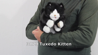 Folkmanis Tuxedo Kitten Hand Puppet Demo 2