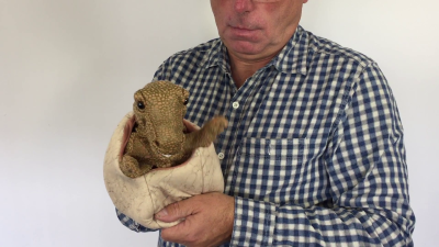Folkmanis Dinosaur Baby in Egg Hand Puppet Demo