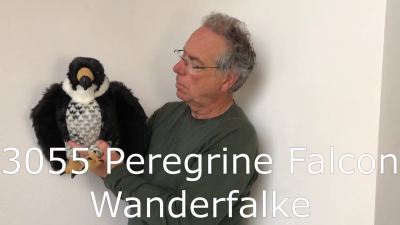 Folkmanis Peregrine Falcon Hand Puppet Demo 2