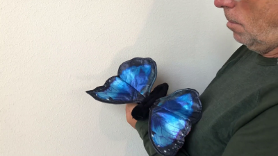 Folkmanis Blue Morpho Butterfly Hand Puppet Demo