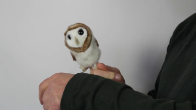 Folkmanis Mini Barn Owl Finger Puppet Demo