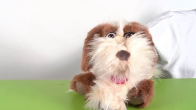 Living Puppets hand puppet Tillmann the dog Demo