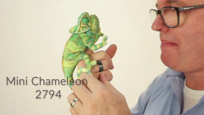 Folkmanis Mini Chameleon Finger Puppet Demo 2