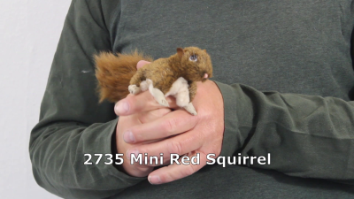 Folkmanis Mini Red Squirrel Finger Puppet Demo