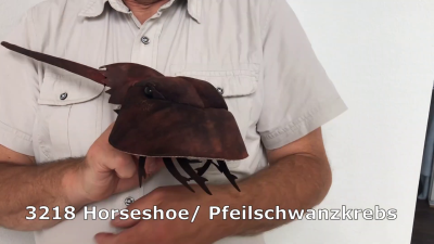Folkmanis Horseshoe Crab Hand Puppet Demo