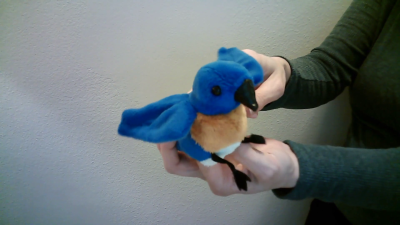Folkmanis Mini Bluebird Finger Puppet Demo