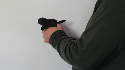 Folkmanis Mini Beaver Finger Puppet Demo