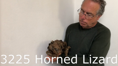 Folkmanis Horned Lizard Hand Puppet Demo