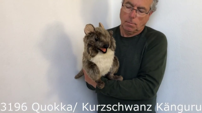 Folkmanis Quokka Hand Puppet Demo 2