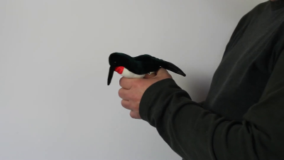 Folkmanis Mini Hummingbird Finger Puppet Demo