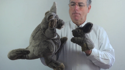 Folkmanis Kangaroo with Joey Hand Puppet Demo