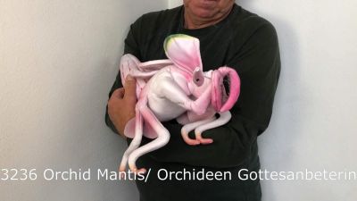 Folkmanis Orchid Mantis Hand Puppet Demo