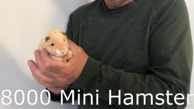 Folkmanis Mini Hamster Finger Puppet Demo 2