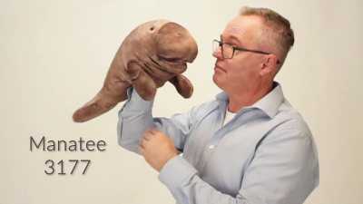 Folkmanis Manatee Hand Puppet Demo 2