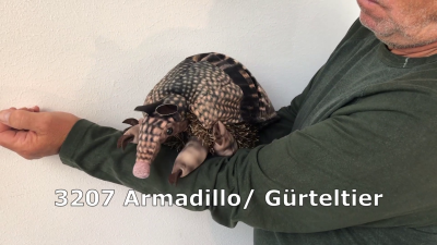 Folkmanis Armadillo Hand Puppet Demo