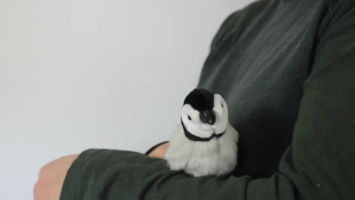 Folkmanis Mini Baby Emperor Penguin Finger Puppet Demo 2