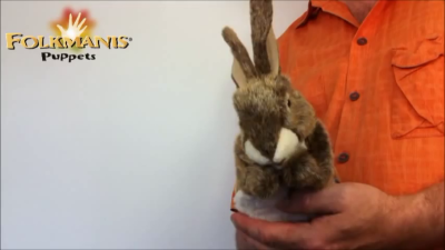 Folkmanis Little Hare Hand Puppet (Small Stage Puppet) Demo