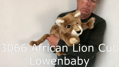 Folkmanis African Lion Cub Hand Puppet Demo 2