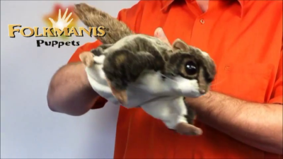 Folkmanis Flying Squirrel Hand Puppet Demo 2