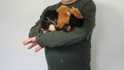 Folkmanis Small Bison Hand Puppet Demo