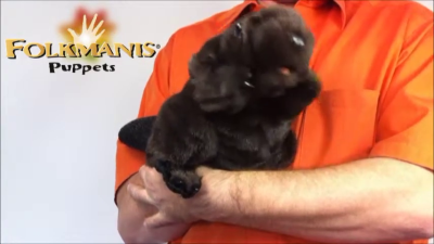 Folkmanis Beaver Hand Puppet Demo 2