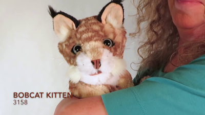 Folkmanis Bobcat Kitten Hand Puppet Demo