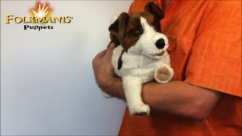 Folkmanis Jack Russell Terrier Hand Puppet Demo 2
