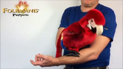 Folkmanis Scarlet Macaw Hand Puppet Demo 2