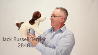 Folkmanis Jack Russell Terrier Hand Puppet Demo
