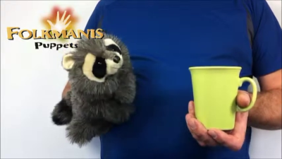 Folkmanis Baby Raccoon Hand Puppet Demo 2