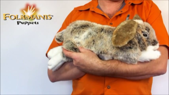 Folkmanis Holland Lop Rabbit Hand Puppet Demo 2