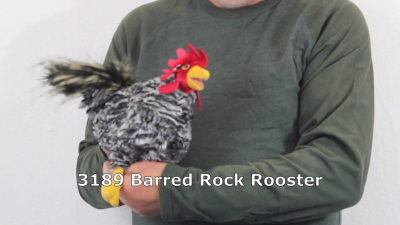 Folkmanis Barred Rock Rooster Hand Puppet Demo