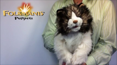 Folkmanis Ragdoll Cat Hand Puppet Demo 2